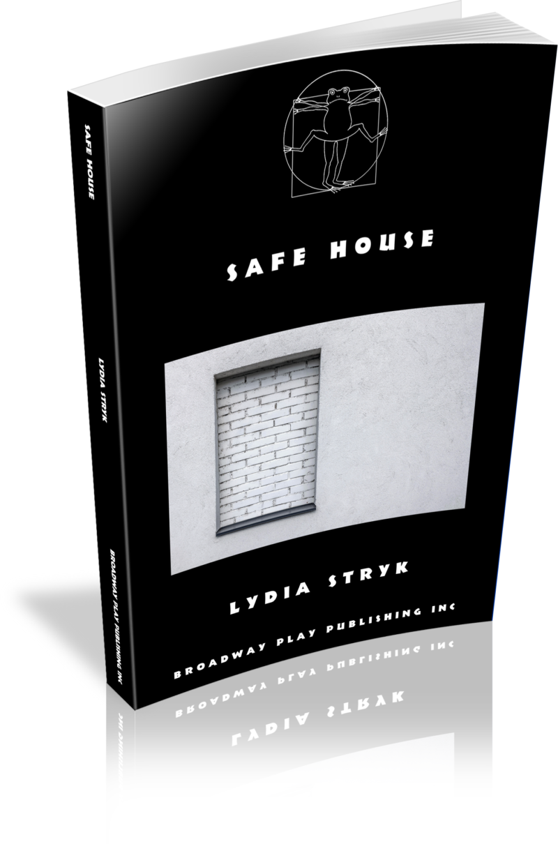 Safe House 3D 300ppi